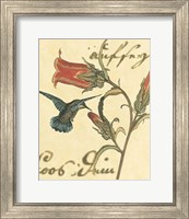 Hummingbird Reverie III Fine Art Print