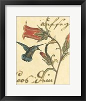 Hummingbird Reverie III Fine Art Print