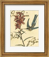 Hummingbird Reverie IV Fine Art Print