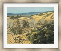 Winter Vineyard Fine Art Print