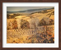Autumn Vineyard Fine Art Print