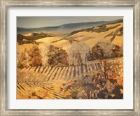 Autumn Vineyard Fine Art Print