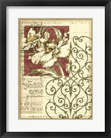 Bella Sonata I Framed Print