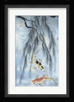 Golden Koi Fine Art Print