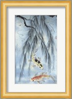 Golden Koi Fine Art Print