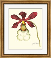 Majestic Orchid II Fine Art Print