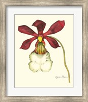 Majestic Orchid II Fine Art Print