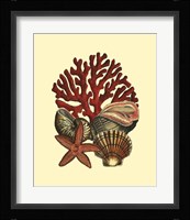 Coral Medley I Framed Print