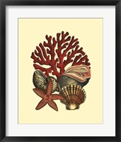 Coral Medley I Fine Art Print