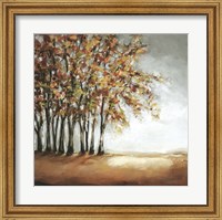 Tree in Fall Fine Art Print