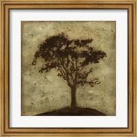Gilded Tree IV Fine Art Print