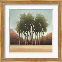 Stand of Trees I Fine Art Print