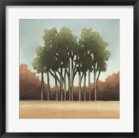Stand of Trees I Fine Art Print