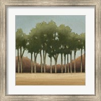 Stand of Trees II Fine Art Print