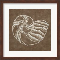 Embroidered Shells II Fine Art Print