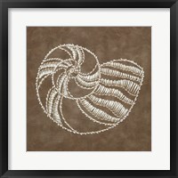 Embroidered Shells II Fine Art Print