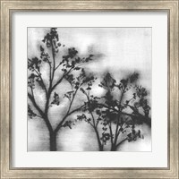 Silvery Trees I Fine Art Print