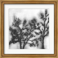 Silvery Trees II Fine Art Print