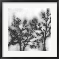 Silvery Trees II Fine Art Print