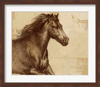 Majestic Horse I Fine Art Print