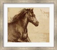 Majestic Horse I Fine Art Print