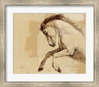 Majestic Horse II Fine Art Print