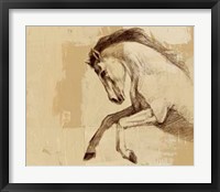 Majestic Horse II Framed Print