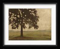 Shenandoah Vista I Framed Print