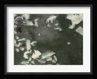 Remnants I Framed Print
