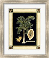 Paradise Palm V Fine Art Print