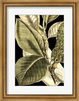 Tranquil Tropical Leaves II Fine Art Print