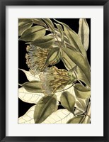 Tranquil Tropical Leaves VI Fine Art Print