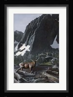 Mountainside Elk I Fine Art Print