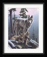 Vantage Point I Fine Art Print