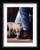 Resting Spot Fine Art Print