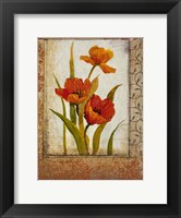 Tulip Inset II Fine Art Print
