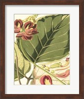 Fantastical Botanical I Fine Art Print