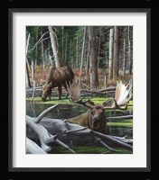 At River's Edge I Fine Art Print