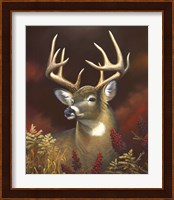 Deer Portrait Fine Art Print