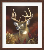 Deer Portrait Fine Art Print