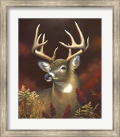 Deer Portrait Fine Art Print