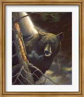 Bear Portrait Fine Art Print