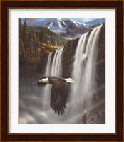 Eagle Portrait Fine Art Print