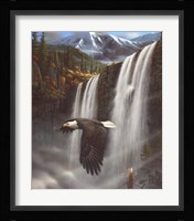 Eagle Portrait Fine Art Print
