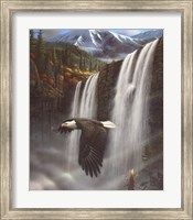 Eagle Portrait Fine Art Print