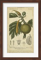 Exotic Botanica IV Fine Art Print