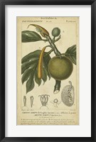 Exotic Botanica IV Fine Art Print