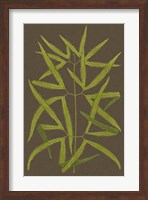 Ferns on Linen I Fine Art Print