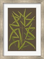 Ferns on Linen I Fine Art Print