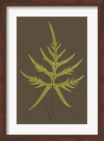 Ferns on Linen IV Fine Art Print